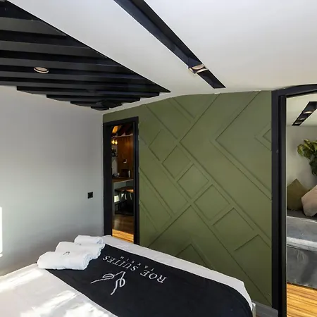 Roe - Taksim * Istanbul