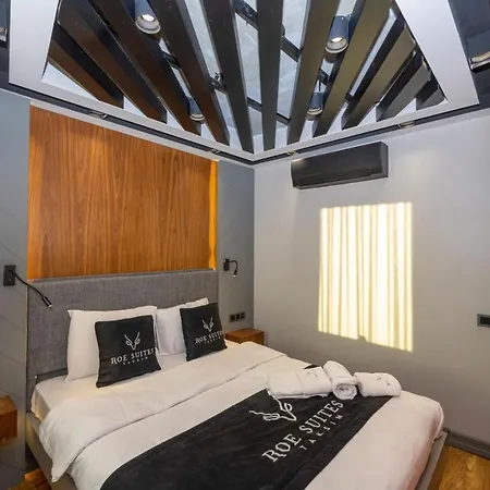 Roe - Taksim * Istanbul